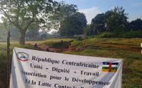 Projets Agricoles : Soutien Durable en Centrafrique